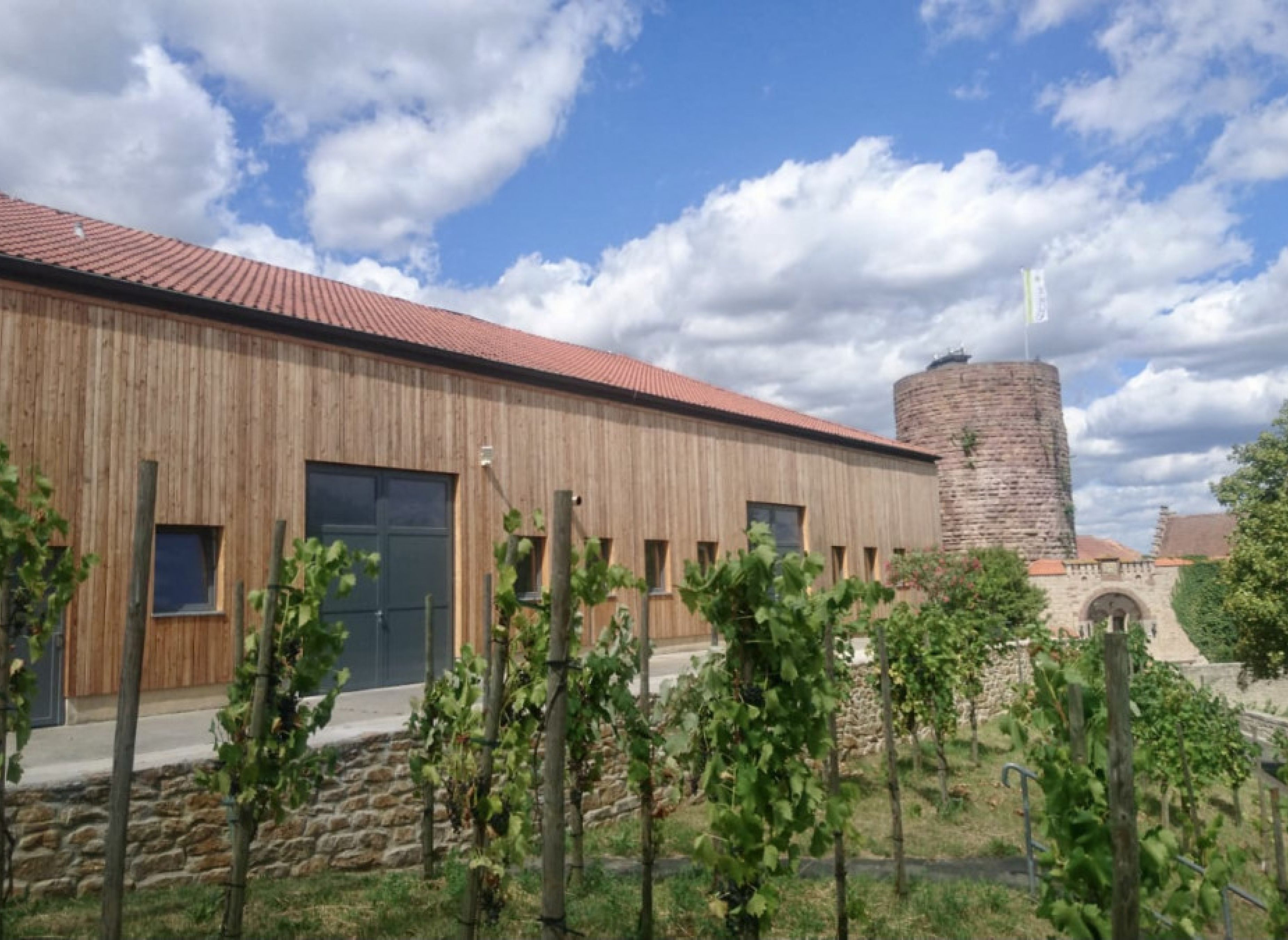 Bioweingut an der Burg Schloss Saaleck — Vinícola in Hammelburg