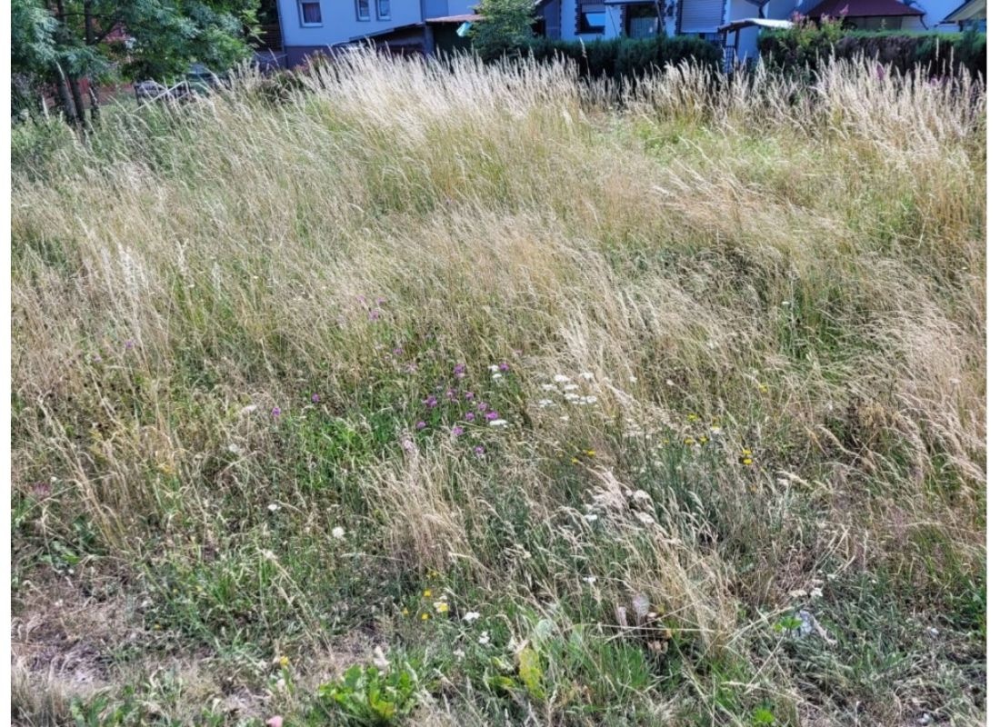 Einzelstellplatz in Volkholz — Camperplaats in Bad Laasphe