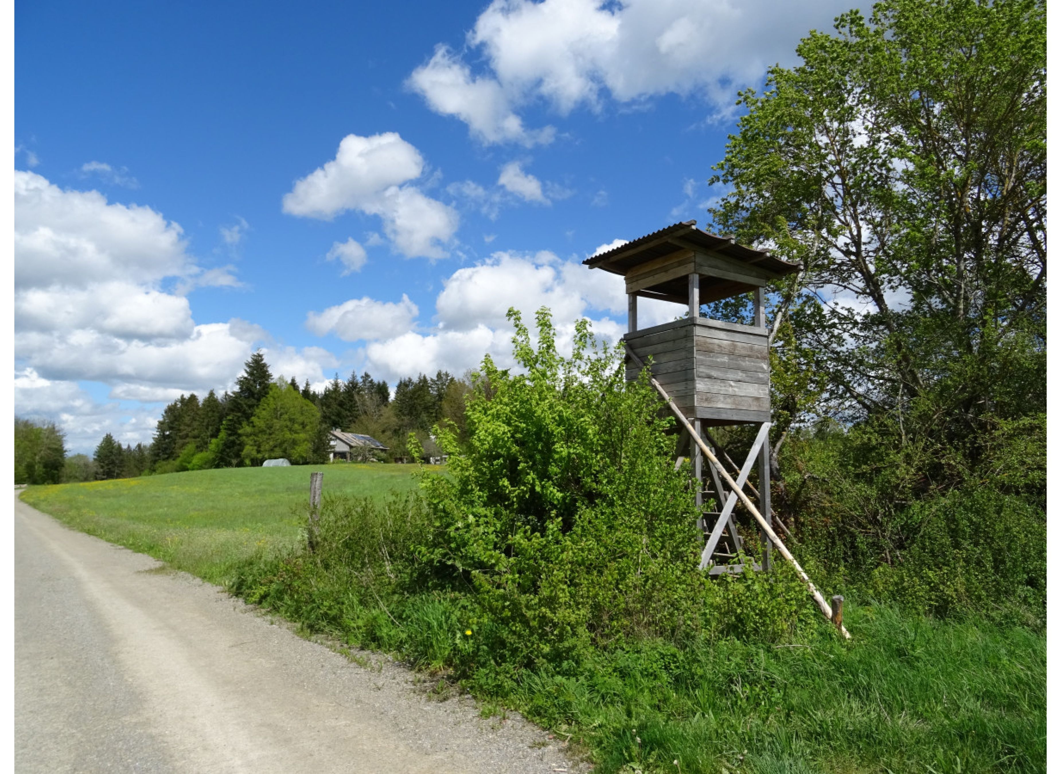 Fern von jeglichem Alltagsstress mitten im Grünen — Campervan Site in Dornhan