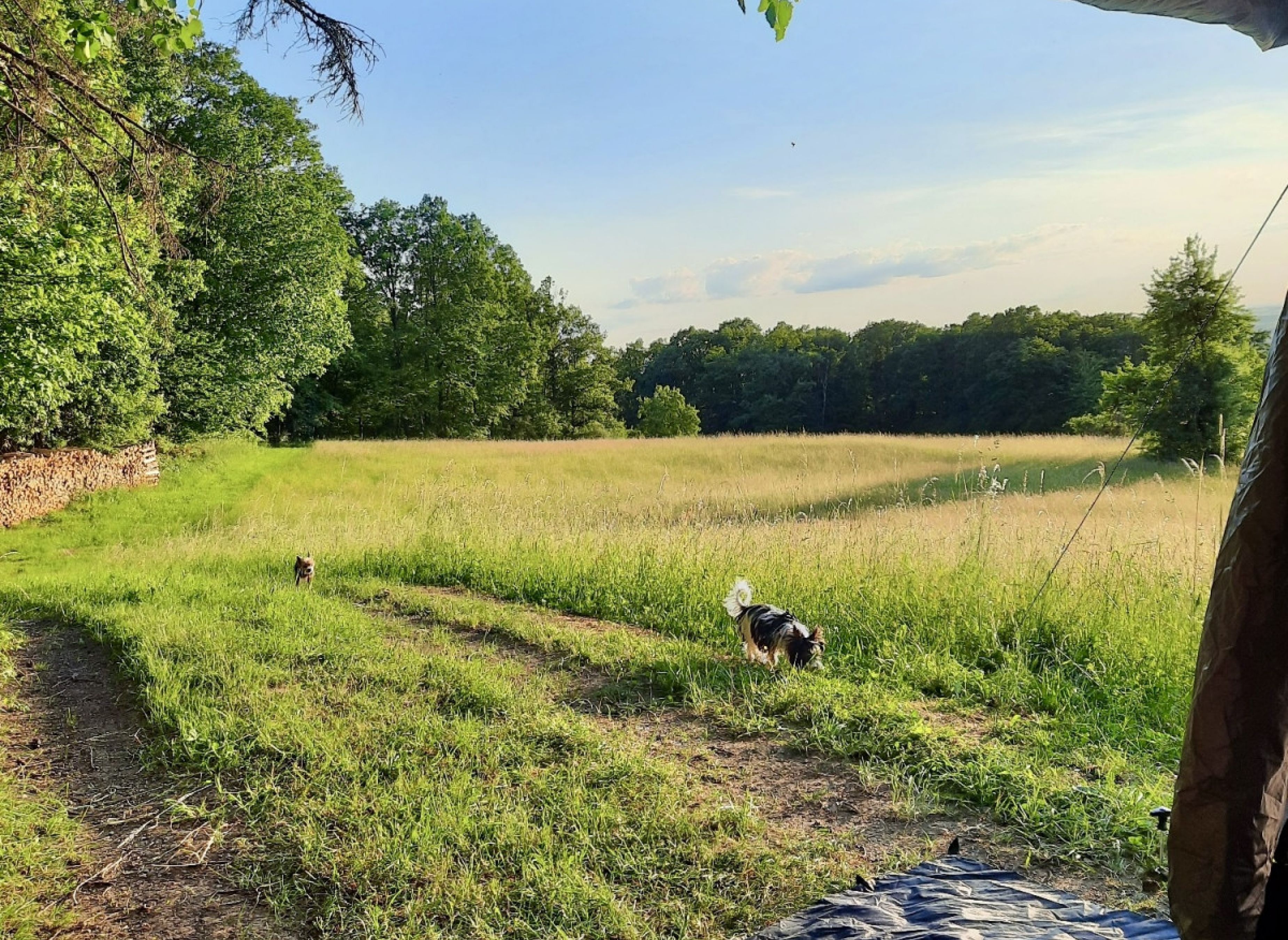 In Alleinlage mit grandioser Aussicht und Weitblick — Campervan Site in Oberschwarzach
