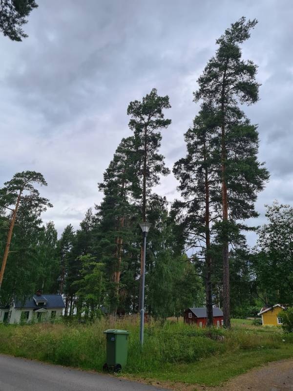 Lysviks Camping — Camping Site in Lysvik