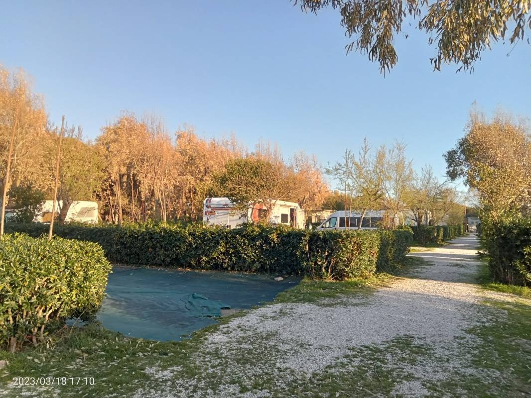 Camping Villagio dei Pini — Kemping in Licinella-Torre di Paestum