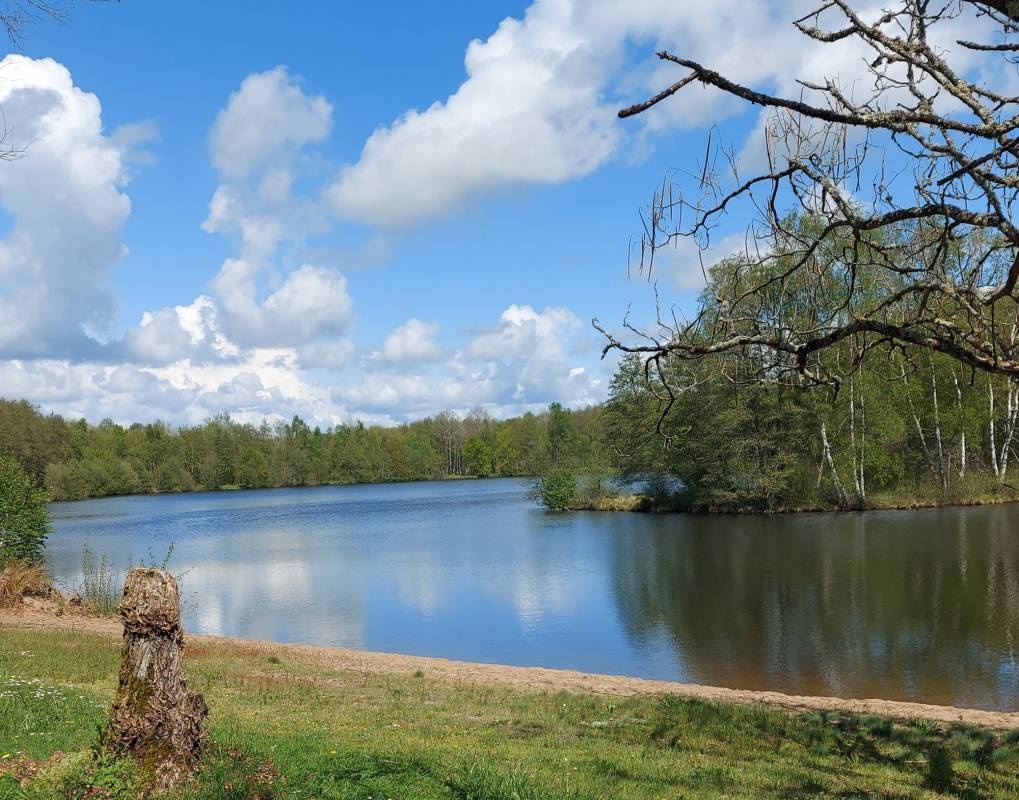 Les Joumiers — Kemp in Saint-Sauveur-en-Puisaye