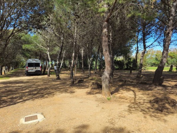 Area La Pineta — Photo 3