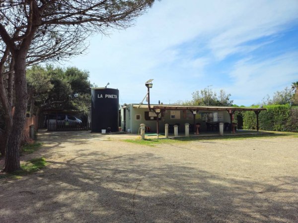 Area La Pineta — Photo 4