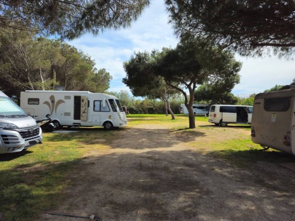 Area La Pineta — Photo 2