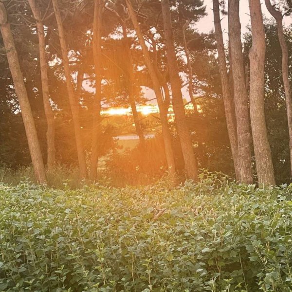 Camping Roskilde — Foto 2