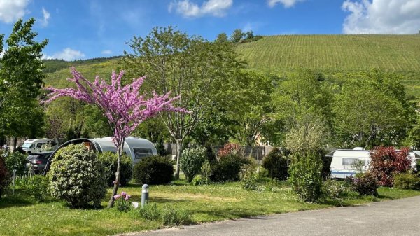 Camping Le Médiéval *** — Photo 4