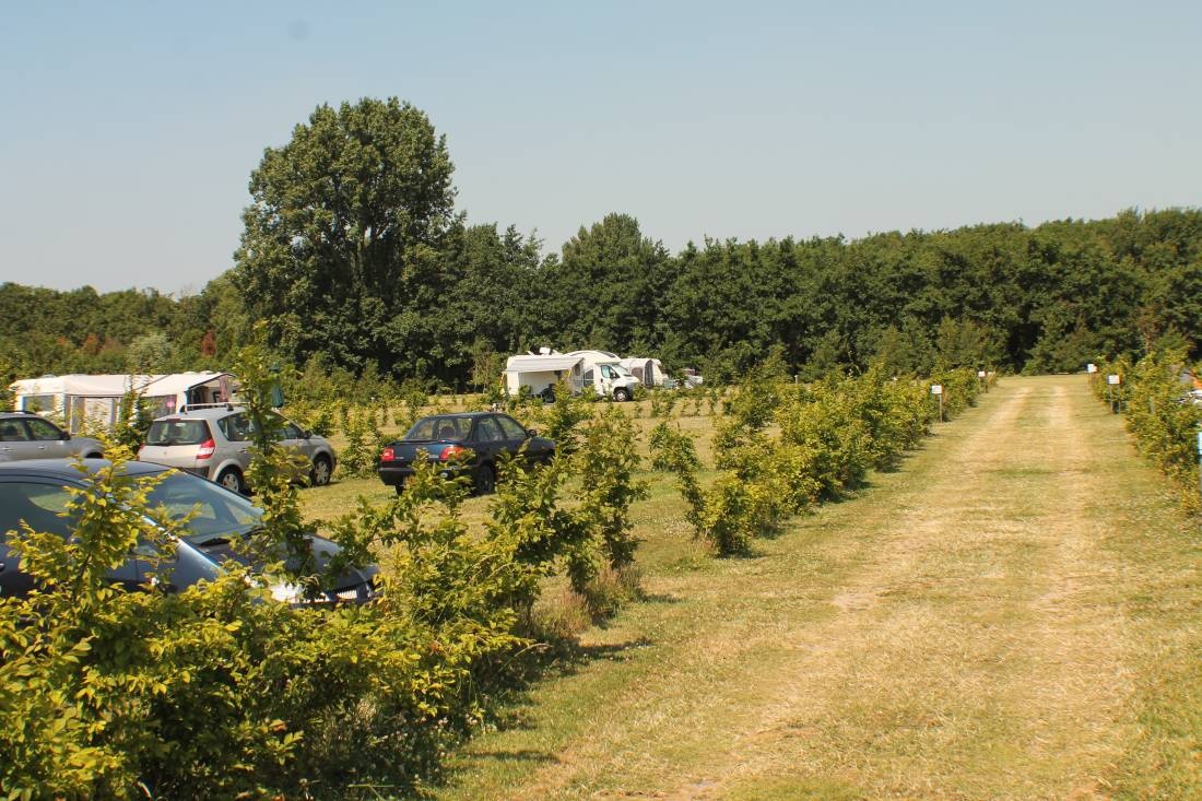 Camping De Houten Paardjes — Campingplatz in Rockanje
