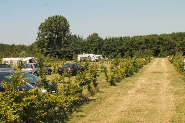 Camping De Houten Paardjes — Foto 2