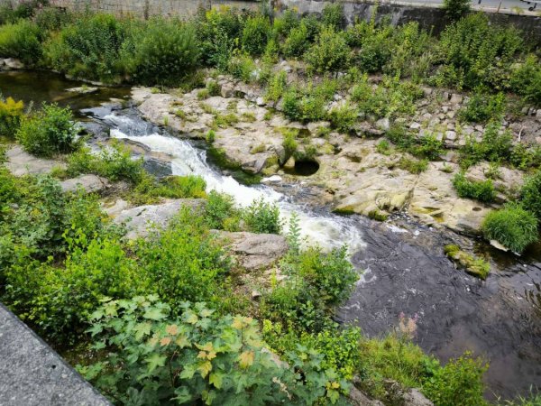 Wohnmobilstellplatz Georgi - Bad Schlema — Foto 2
