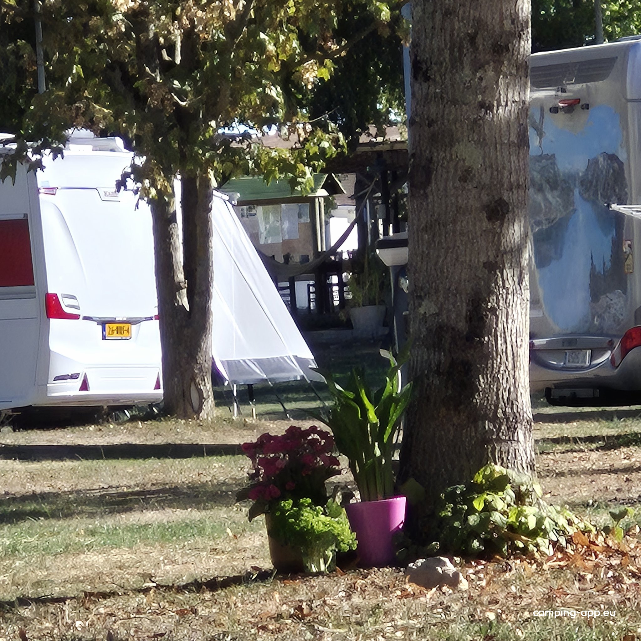 Camping municipal Noue Marrou — Foto 2