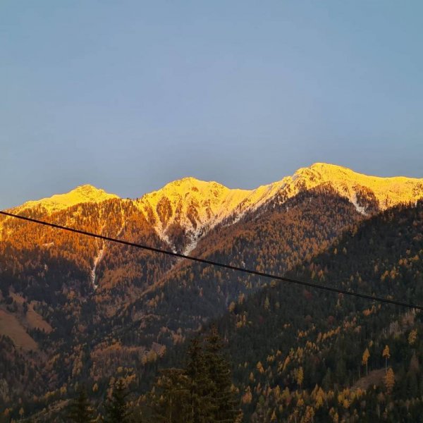 Molltaler — Photo 5