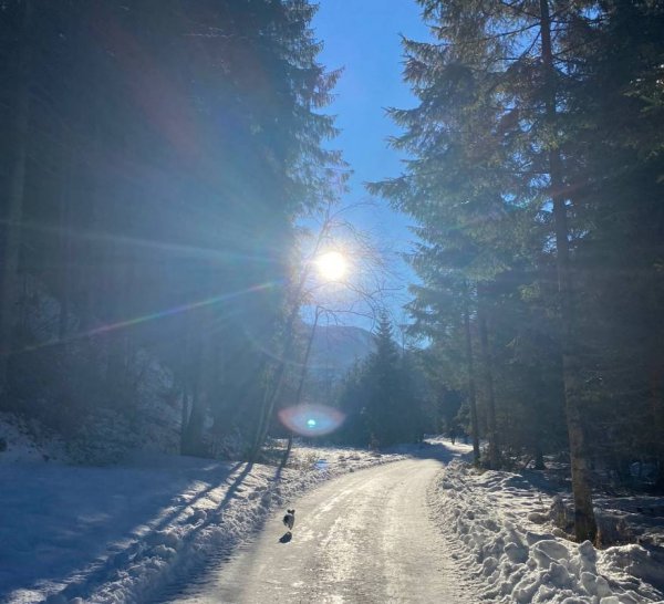 Molltaler — Photo 3