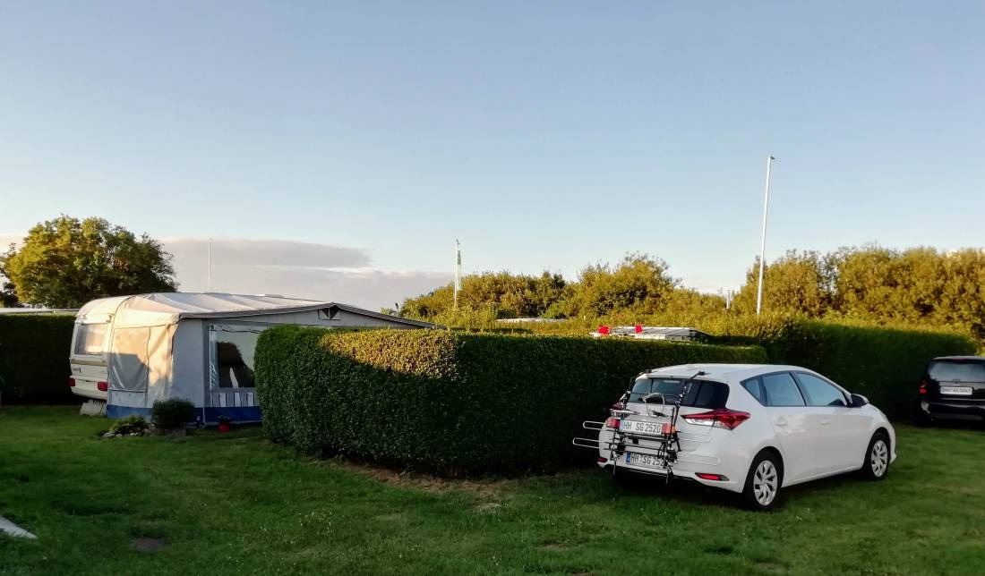 Seestern Süssau — Kemp in Heringsdorf