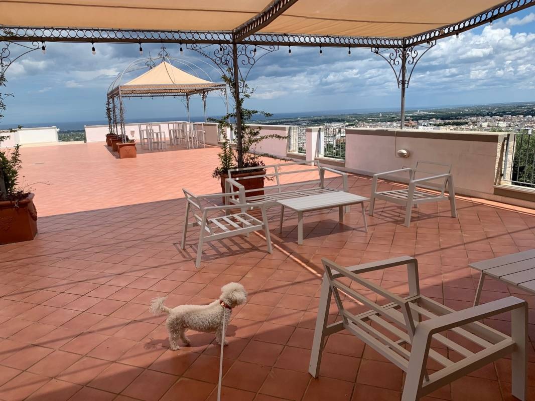 Fasano Safari Zoo — Sp. parking dla kamperów in Fasano BR