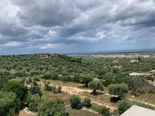 Fasano Safari Zoo — Photo 5