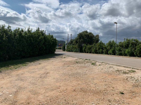 Fasano Safari Zoo — Photo 3