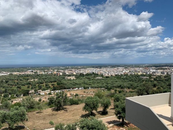 Fasano Safari Zoo — Photo 4