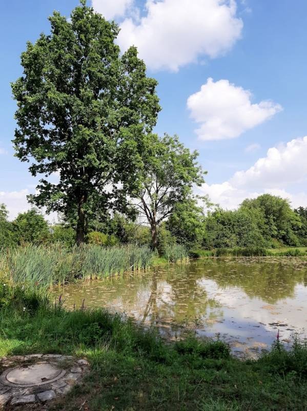 Neuhof Eisweiher — Sp. parking dla kamperów in Neuhof an der Zenn