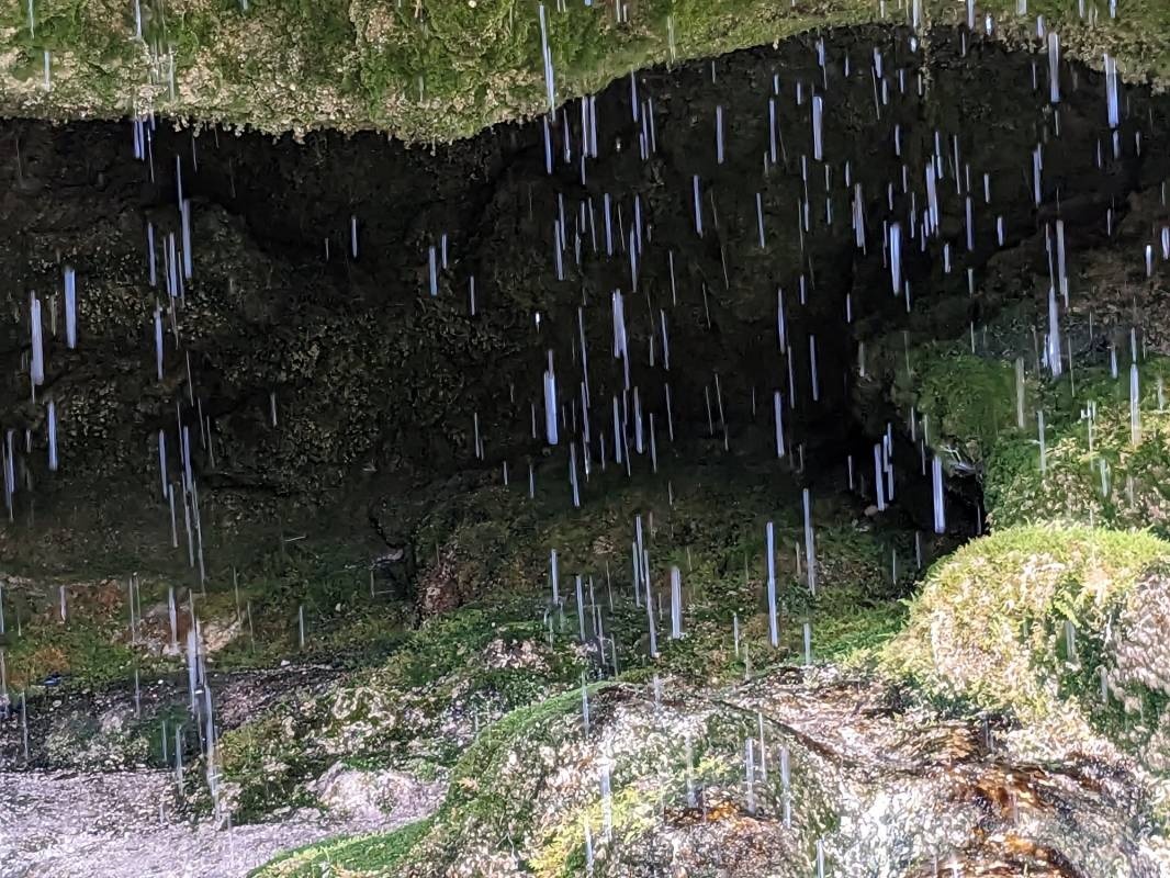 Camping Wies-Neu Luxembourg — QuickStop in Befort