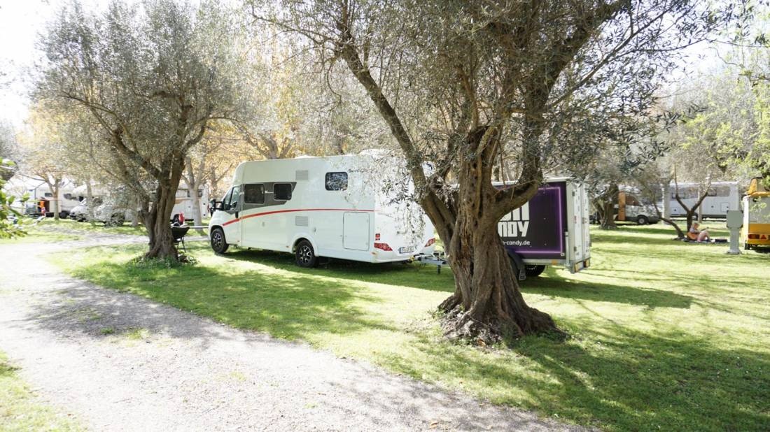 Camping Pineta — Campingplatz in Bolsena