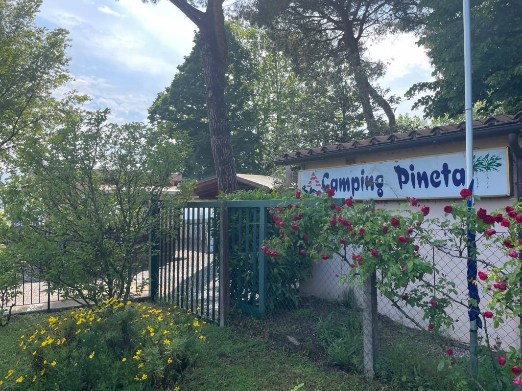 Camping Pineta — Camping in Bolsena