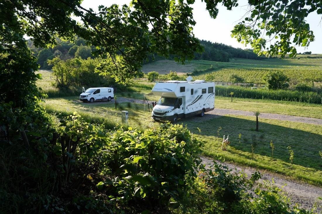 Stellplatz am Weingut Hanewald-Schwerdt im Vogelschutzgebiet — Vinícola in 