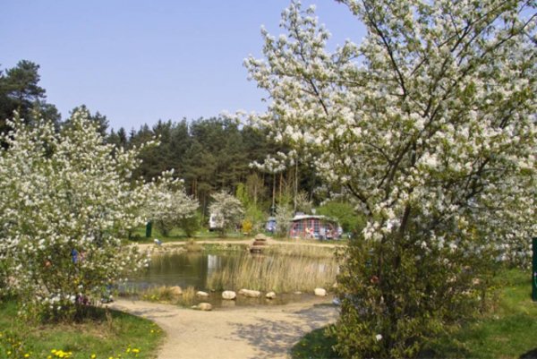 Südsee Camp ***** — Photo 4