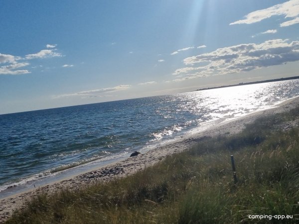 Nybrostrands Camping — Photo 6