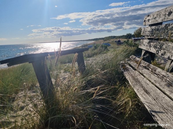 Nybrostrands Camping — Photo 4