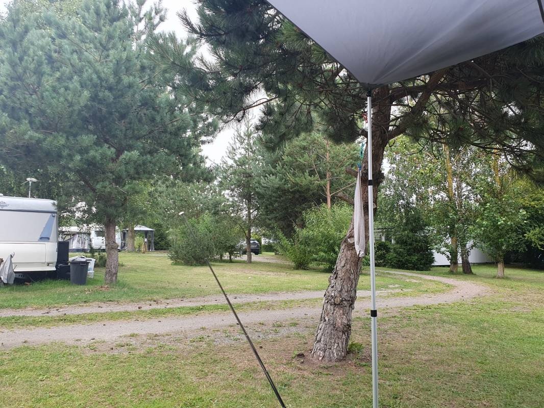 Fredriksbergs Kursgård-Camping — 露营地 in Nybrostrand