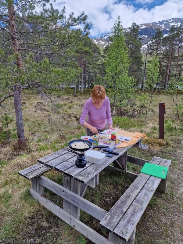 HOV Hyttegrend — Campingplads in Viksdalen
