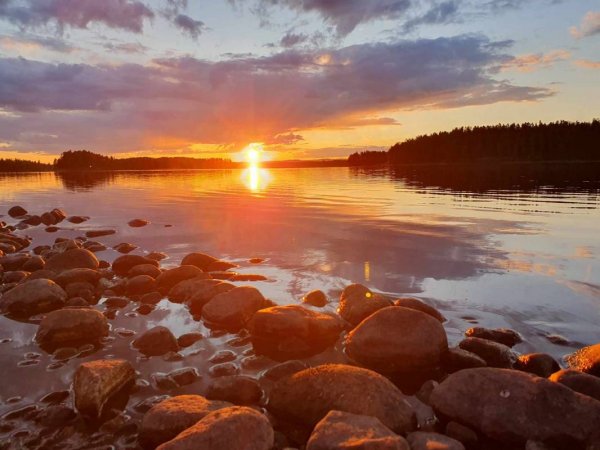 Arvidsjaursforsen, Byskeälven — Photo 2