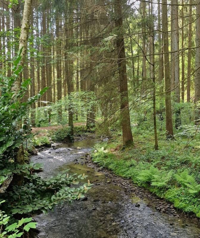 Outdoorcampingplatz Massingsmühle — Kemp in Etgert