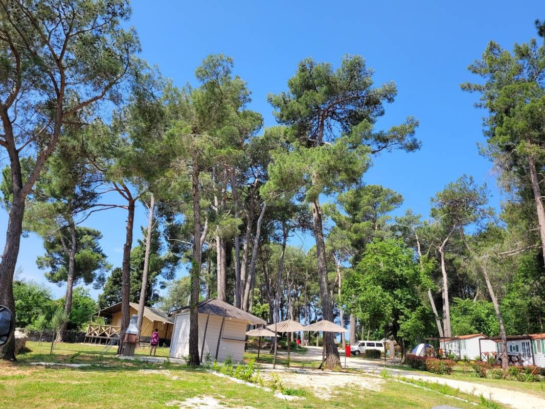 camp dvor — Campingplads in Manjadvorci