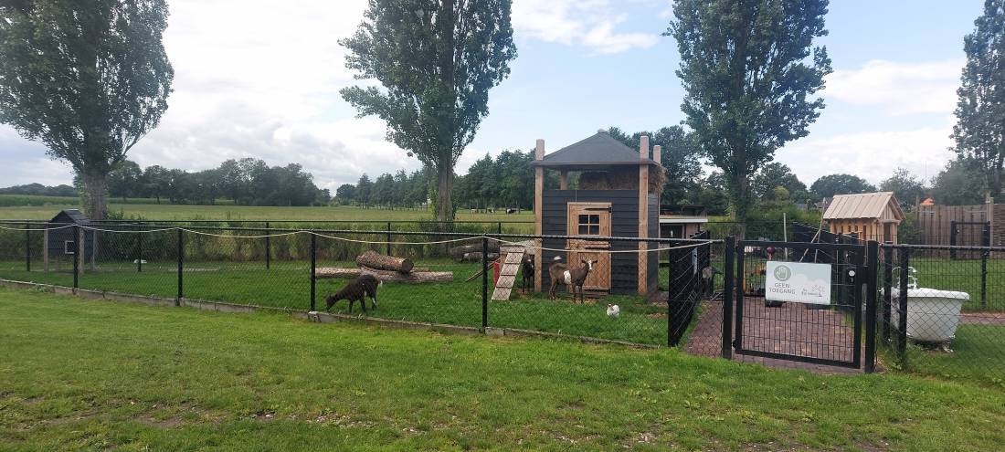 Camping Landgoed Geerdijk — Kemp in Den Ham