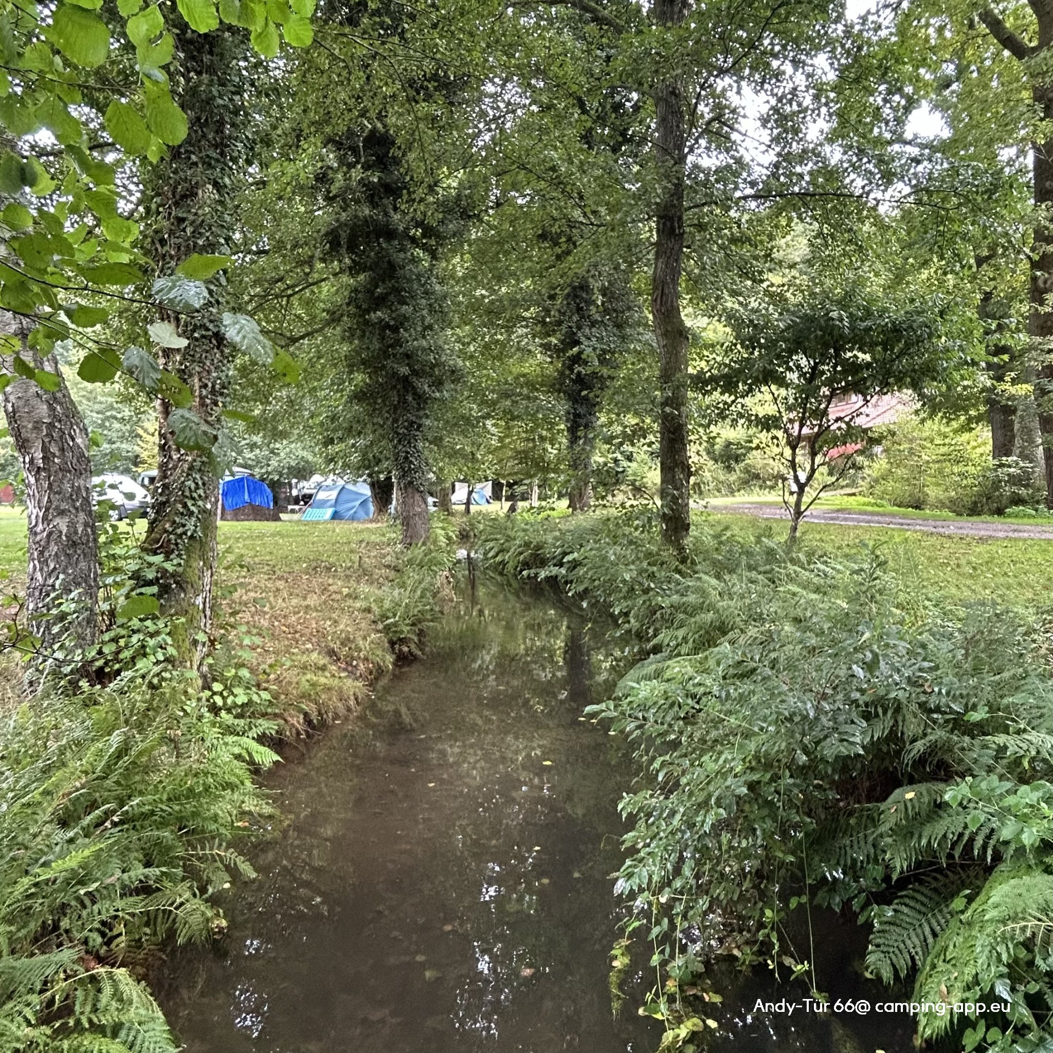 Camping Clausensee — Foto 2