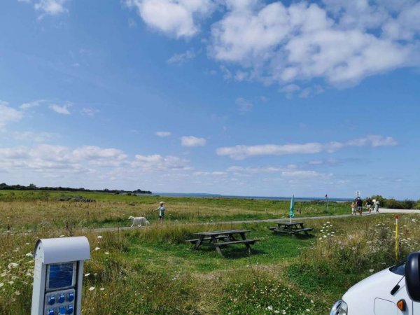 Bogense Marina — Photo 3