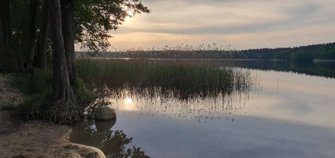 Camping am Wolletzsee — Kamp yeri in Angermünde
