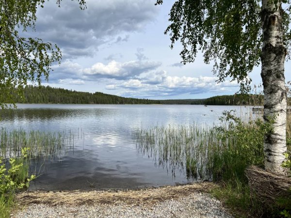 Brunskogs Hembygdsgård — Photo 2