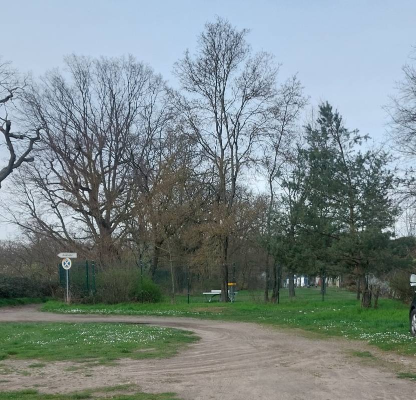 Parkplatz am Waldschwimmbad — Public Parking in Rüsselsheim am Main