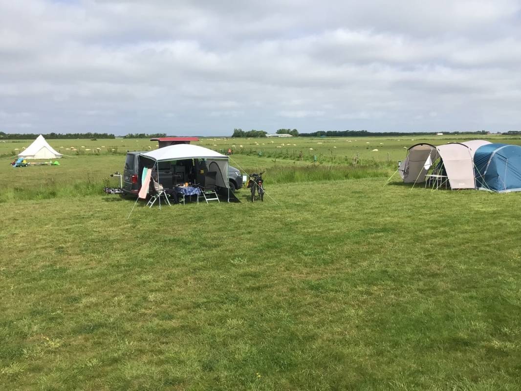 Boerderijcamping De Texelaar — Farm in De Waal