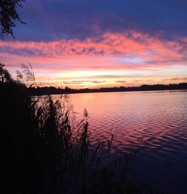 Camping-Club Schweriner See e.V. — Photo 6