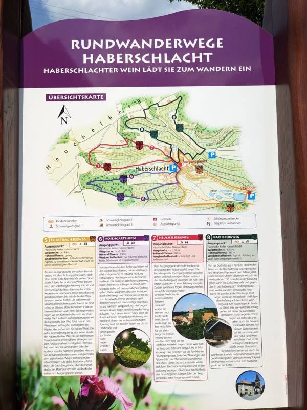 Wohnmobilstellplatz am Weingut Sommer — Photo 5