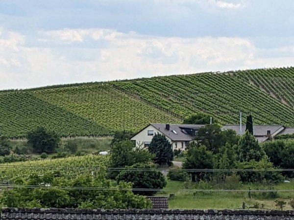 Wohnmobilstellplatz am Weingut Sommer — Photo 6