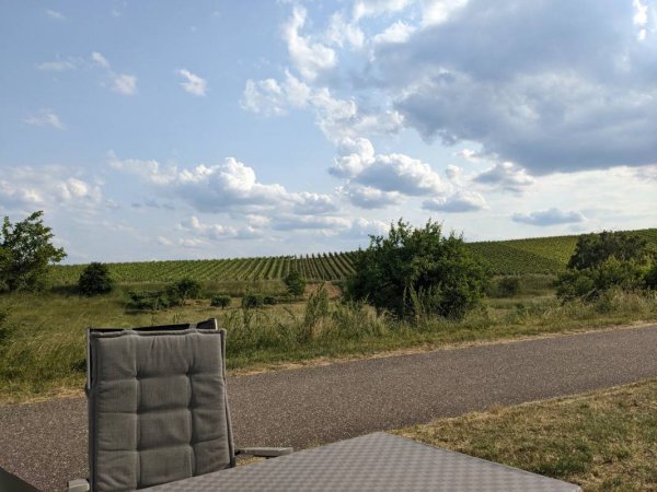Wohnmobilstellplatz am Weingut Sommer — Foto 2