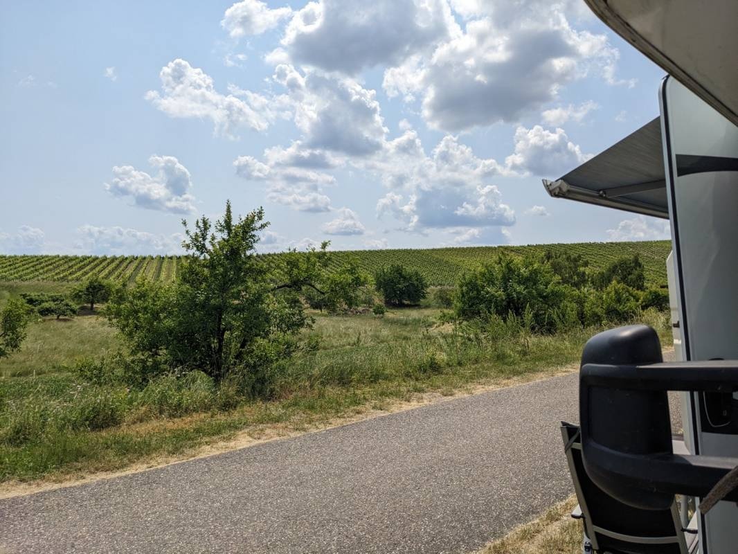 Wohnmobilstellplatz am Weingut Sommer — Winery in Brackenheim