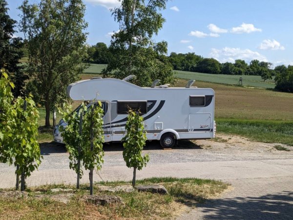 Stellplatz Weingut Plag — Foto 4