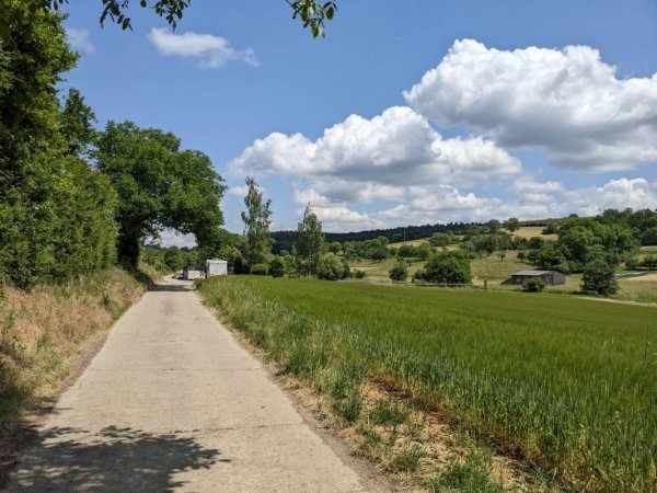 Stellplatz Weingut Plag — Photo 5
